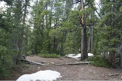 587 Puma Place, Fairplay, CO 80440 - Photo 9