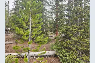 587 Puma Place, Fairplay, CO 80440 - Photo 15