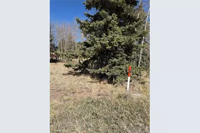 405 Meadow Park Drive, Divide, CO 80814 - Photo 5