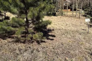 405 Meadow Park Dr, Divide, CO 80814 - Photo 1
