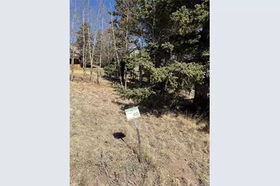 405 Meadow Park Drive, Divide, CO 80814 - Photo 3