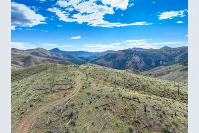 770 Holmes Gulch Way, Bailey, CO 80421 - Photo 15