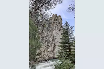 770 Holmes Gulch Way, Bailey, CO 80421 - Photo 39