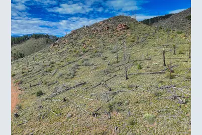 770 Holmes Gulch Way, Bailey, CO 80421 - Photo 17