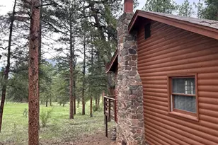 861 Happy Top Trail, Bailey, CO 80421 - Photo 23