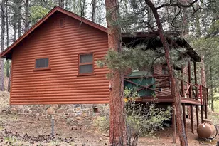 861 Happy Top Trail, Bailey, CO 80421 - Photo 27