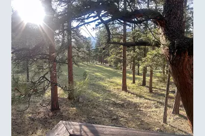 861 Happy Top Trail, Bailey, CO 80421 - Photo 9