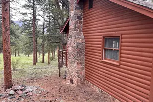 861 Happy Top Trail, Bailey, CO 80421 - Photo 25