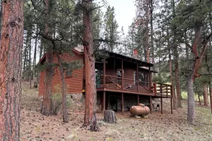 861 Happy Top Trail, Bailey, CO 80421 - Photo 21