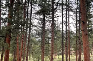 861 Happy Top Trail, Bailey, CO 80421 - Photo 25