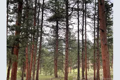 861 Happy Top Trail, Bailey, CO 80421 - Photo 23