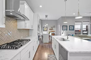 6034 Alton St, Denver, CO 80238 - Photo 19