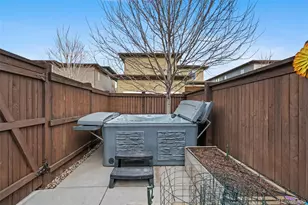 6034 Alton St, Denver, CO 80238 - Photo 43