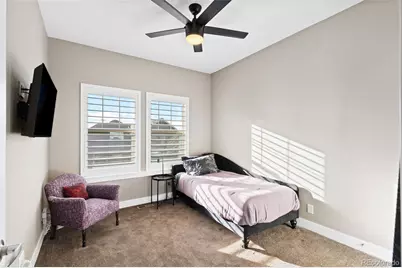 6034 Alton Street, Denver, CO 80238 - Photo 29