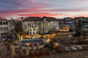 1012 Michener Way, Highlands Ranch, CO 80126 - Photo 45