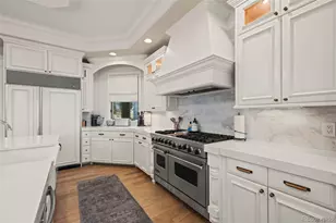 1012 Michener Way, Highlands Ranch, CO 80126 - Photo 13