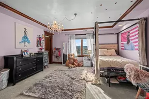 1012 Michener Way, Highlands Ranch, CO 80126 - Photo 27