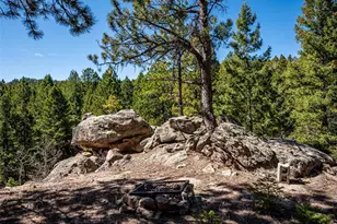 8727 S Fairall Rd, Morrison, CO 80465 - Photo 33