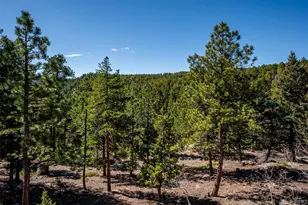 8727 S Fairall Rd, Morrison, CO 80465 - Photo 31