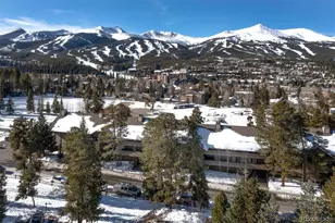 311 S High St, Breckenridge, CO 80424 - Photo 21