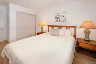 311 S High St, Breckenridge, CO 80424 - Photo 13