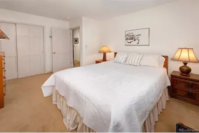 311 S High Street #209, Breckenridge, CO 80424 - Photo 17