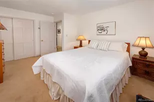 311 S High St, Breckenridge, CO 80424 - Photo 17