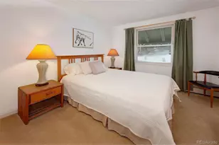 311 S High St, Breckenridge, CO 80424 - Photo 11