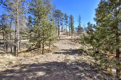 238 Chateau West Drive, Florissant, CO 80816 - Photo 3