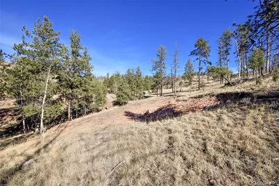 238 Chateau West Drive, Florissant, CO 80816 - Photo 7