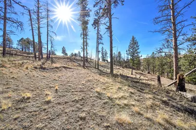 238 Chateau West Drive, Florissant, CO 80816 - Photo 11