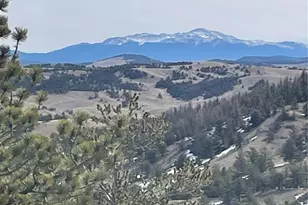 Antelope Rd, Hartsel, CO 80449 - Photo 1