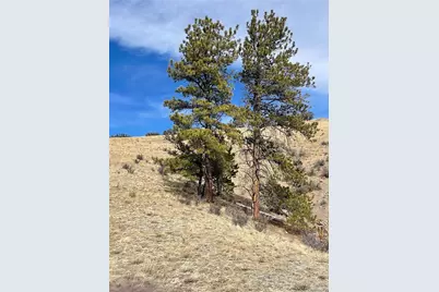 Antelope Road, Hartsel, CO 80449 - Photo 5