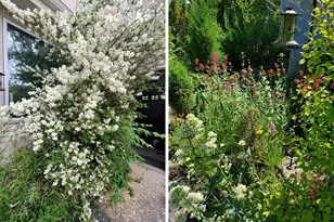 5398 S Jay Dr, Littleton, CO 80123 - Photo 31