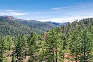 28488 Park Ave, Pine, CO 80470 - Photo 5