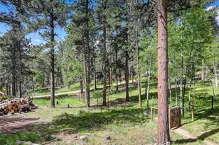 11135 Kennedy Ave, Conifer, CO 80433 - Photo 39