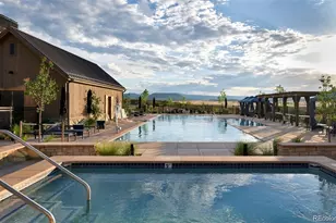 634 Leafy Aster Ln, Castle Rock, CO 80104 - Photo 29