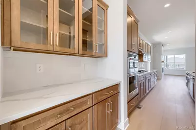 634 Leafy Aster Lane, Castle Rock, CO 80104 - Photo 17