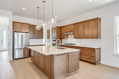 634 Leafy Aster Lane, Castle Rock, CO 80104 - Photo 7
