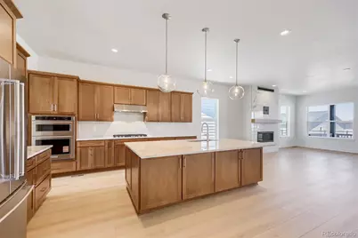 634 Leafy Aster Lane, Castle Rock, CO 80104 - Photo 5