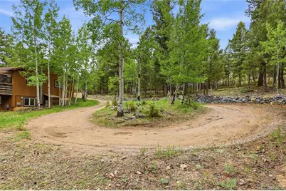 175 Mount Bailey Drive, Bailey, CO 80421 - Photo 39