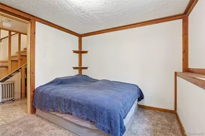 175 Mount Bailey Drive, Bailey, CO 80421 - Photo 27
