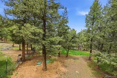 175 Mount Bailey Drive, Bailey, CO 80421 - Photo 41
