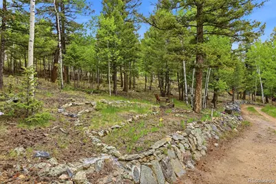 175 Mount Bailey Drive, Bailey, CO 80421 - Photo 43