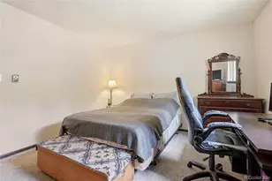 175 Mt Bailey Dr, Bailey, CO 80421 - Photo 21