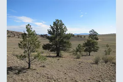 Lot 49 Quail Court, Hartsel, CO 80449 - Photo 5