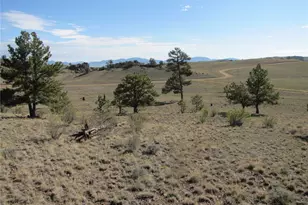 Lot 49 Quail Ct, Hartsel, CO 80449 - Photo 1