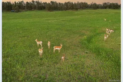 1752 Private Road 130, Elizabeth, CO 80107 - Photo 45