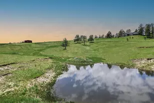 1752 Private Rd 130, Elizabeth, CO 80107 - Photo 5