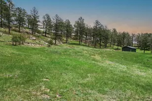 1752 Private Rd 130, Elizabeth, CO 80107 - Photo 11